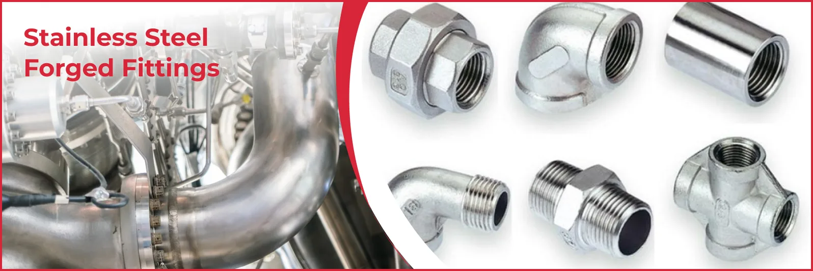 Stainless Steel Forged Fittings Manufacturer & Supplier